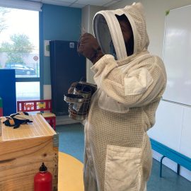 Visite de l’apiculteur