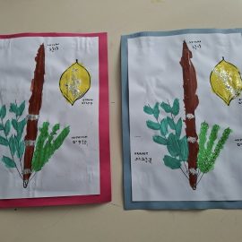 Nous fêtons Souccot à l’école ! Nous fêtons Souccot à l’école !
